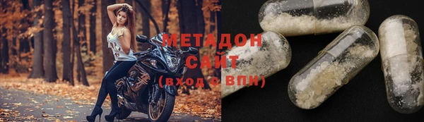 прущие грибы Абаза