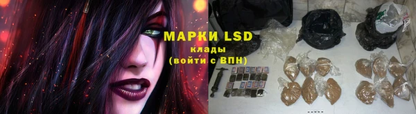 прущие грибы Абаза
