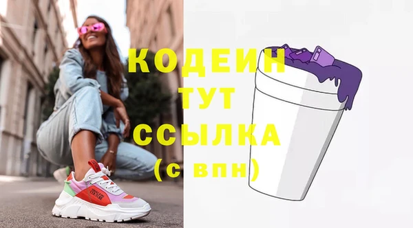 прущие грибы Абаза