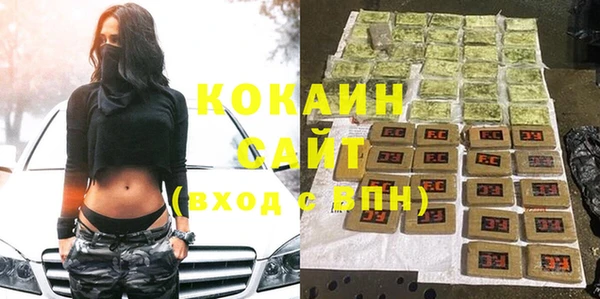 прущие грибы Абаза