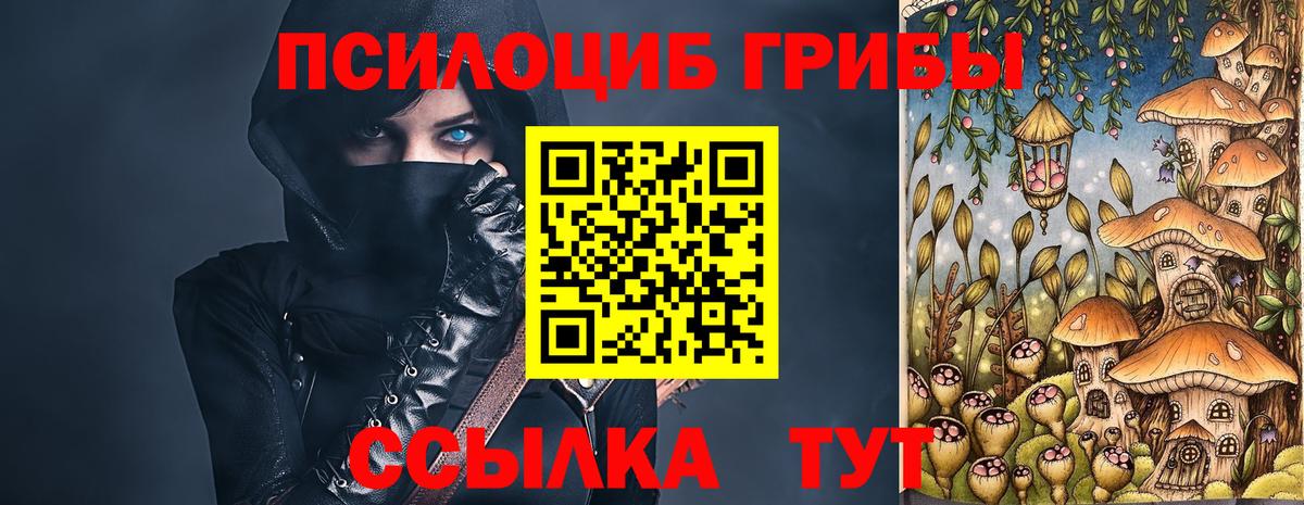 Псилоцибиновые грибы Psilocybe Людиново