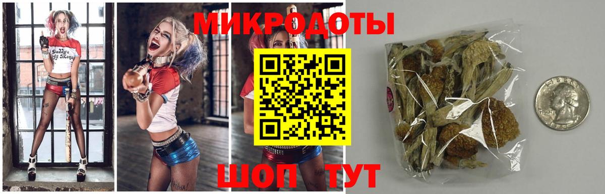 Псилоцибиновые грибы Magic Shrooms  Вход с VPN  Людиново 