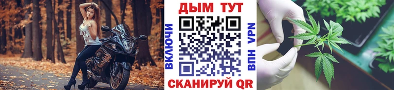 Канабис Amnesia  Людиново 
